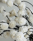 Artificial Luxury White Pom Pom Flower Stems - Set Of Five