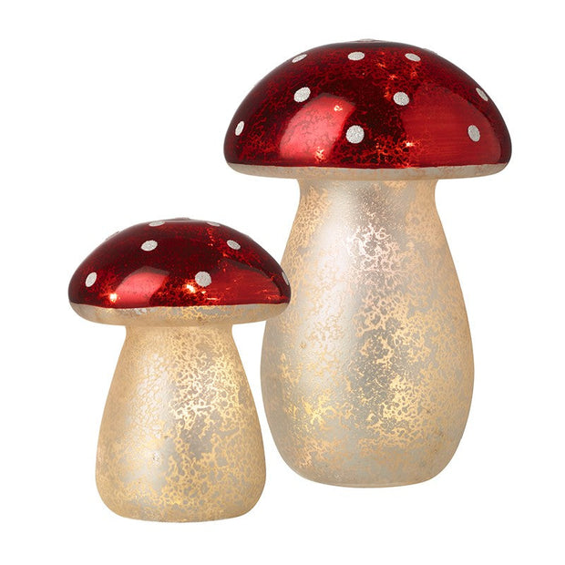Light Up Toadstools Set Of 2