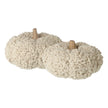 Cream Looped Pumpkin With Wooden Stem