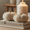 Cream Looped Pumpkin With Wooden Stem