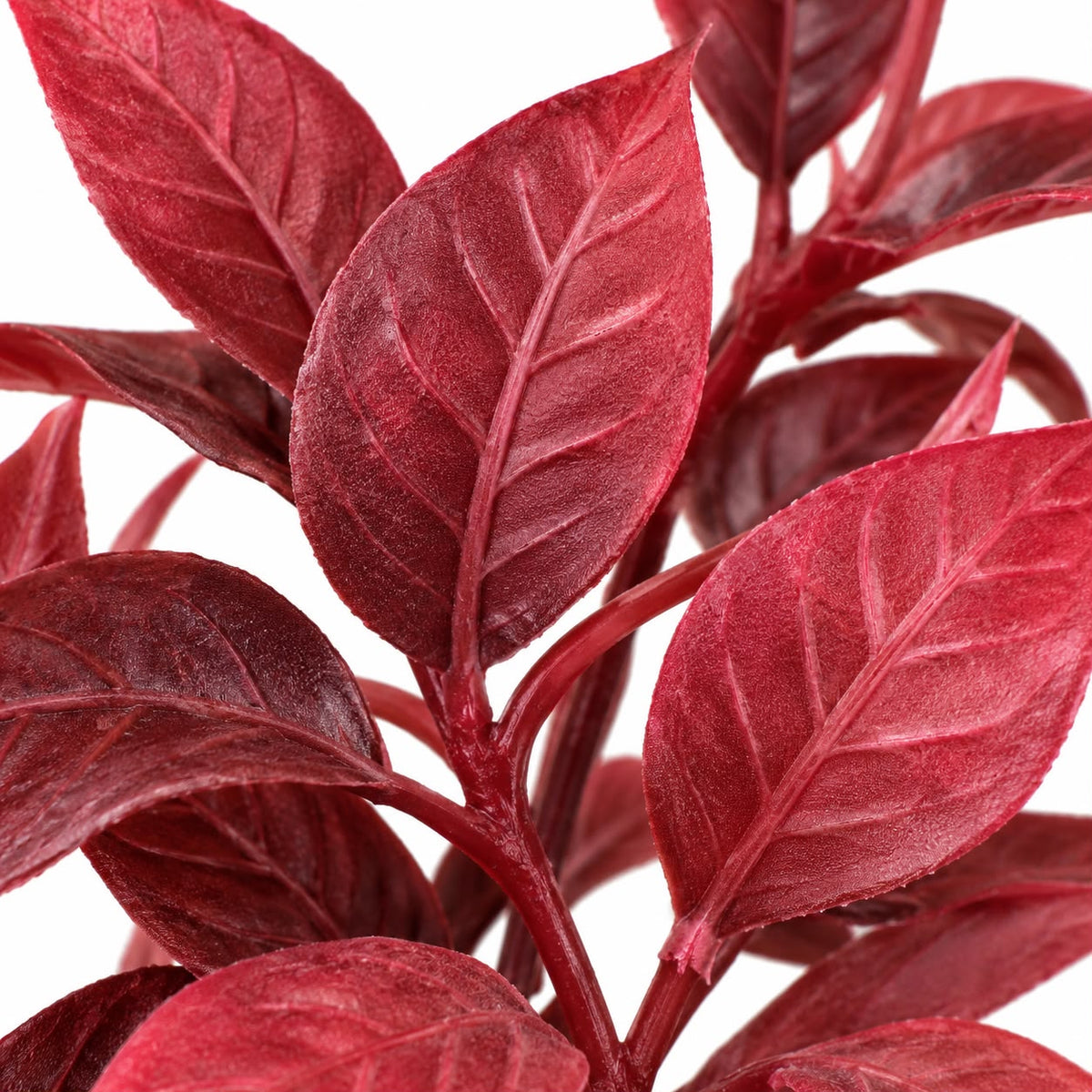Burgundy Foliage Plant In a Seagrass Planter