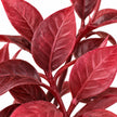 Burgundy Foliage Plant In a Seagrass Planter