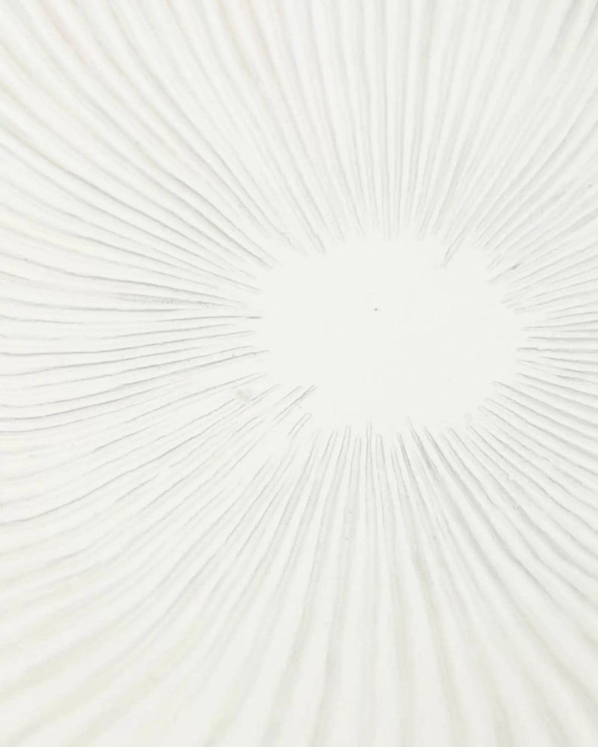 Barbuda Large Scalloped Wavy Decorative Bowl – Neutral Resin Tray - PRE ORDER LATE SEPT DELIVERY - Home DecorHome Decor - Lulu Loves Home