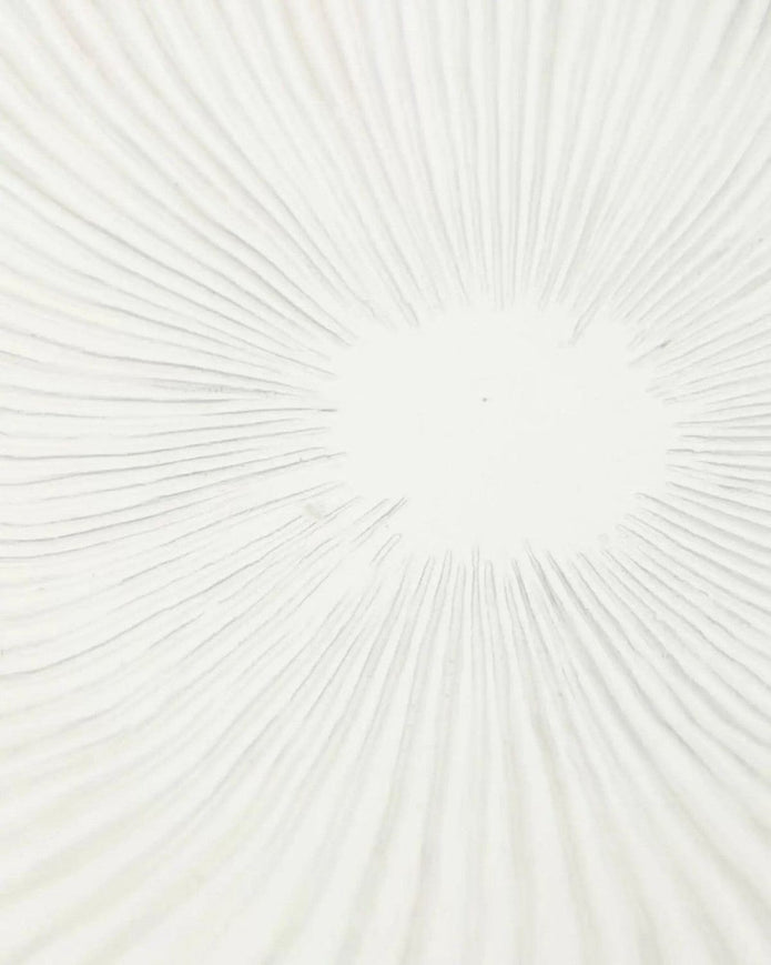 Barbuda Large Scalloped Wavy Decorative Bowl – Neutral Resin Tray - PRE ORDER LATE SEPT DELIVERY - Home DecorHome Decor - Lulu Loves Home