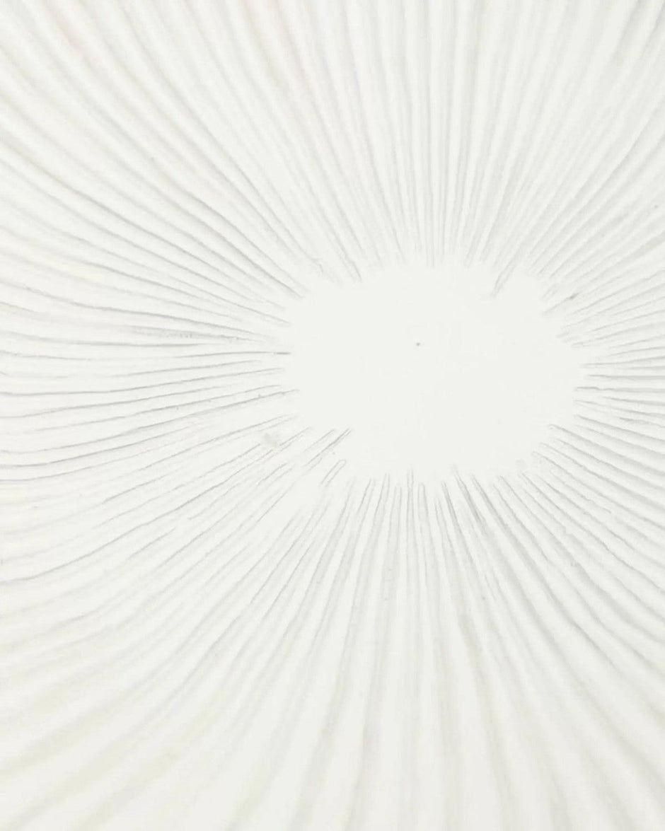 Barbuda Large Scalloped Wavy Decorative Bowl – Neutral Resin Tray - PRE ORDER LATE SEPT DELIVERY - Home DecorHome Decor - Lulu Loves Home