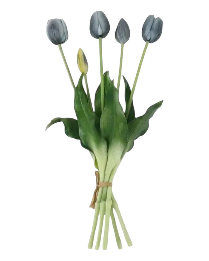 Blue Spring Tulips Stems - Bunch Of Five