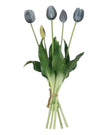 Blue Spring Tulips Stems - Bunch Of Five
