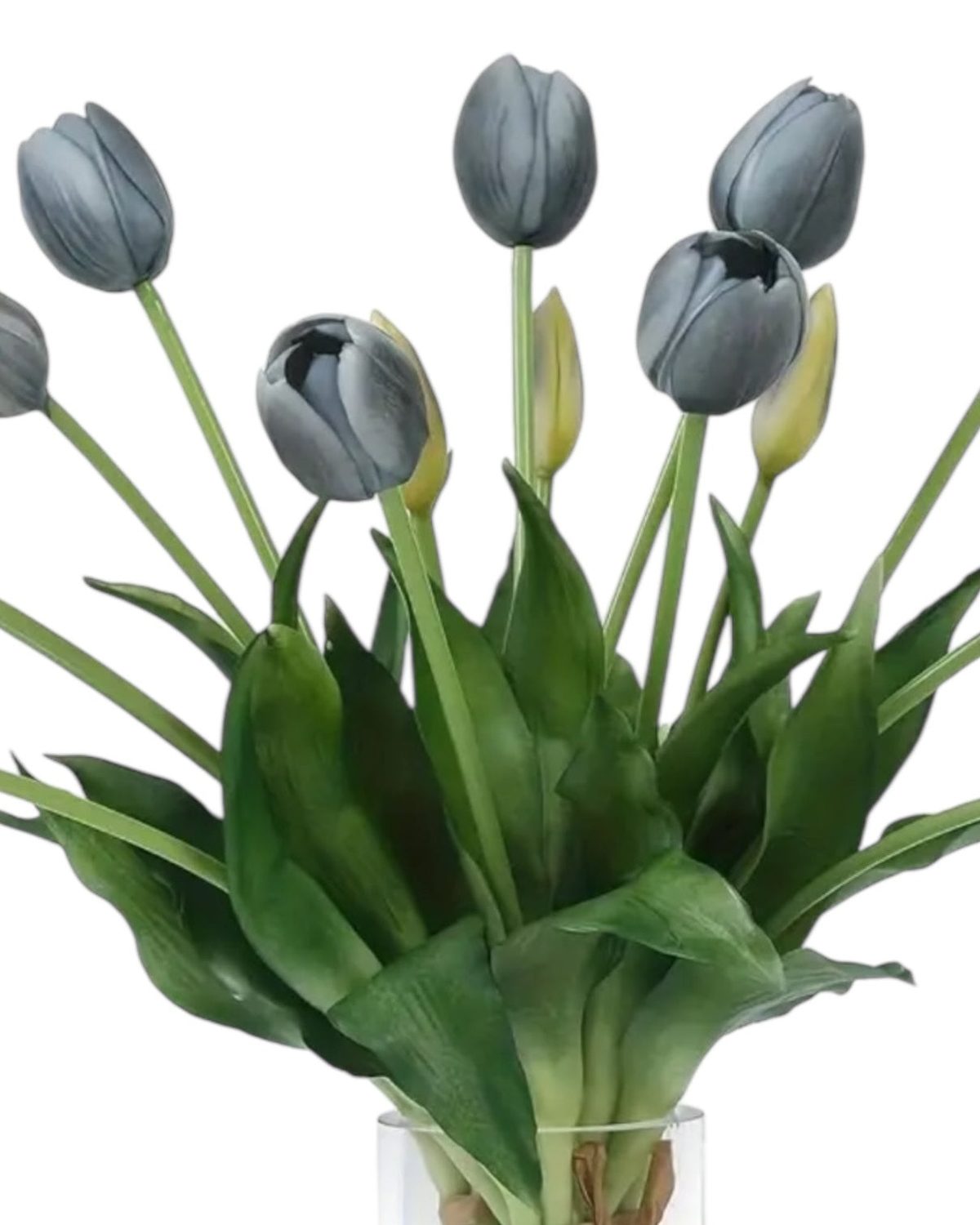 Blue Spring Tulips Stems - Bunch Of Five