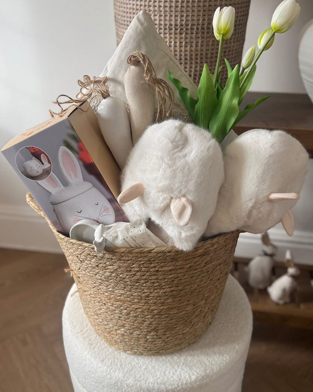 Bunny Rabbit Gift Basket
