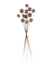 Artificial brown neutral pom pom stem from Coach House, featuring soft, fluffy pom poms ideal for home decor and floral arrangements.