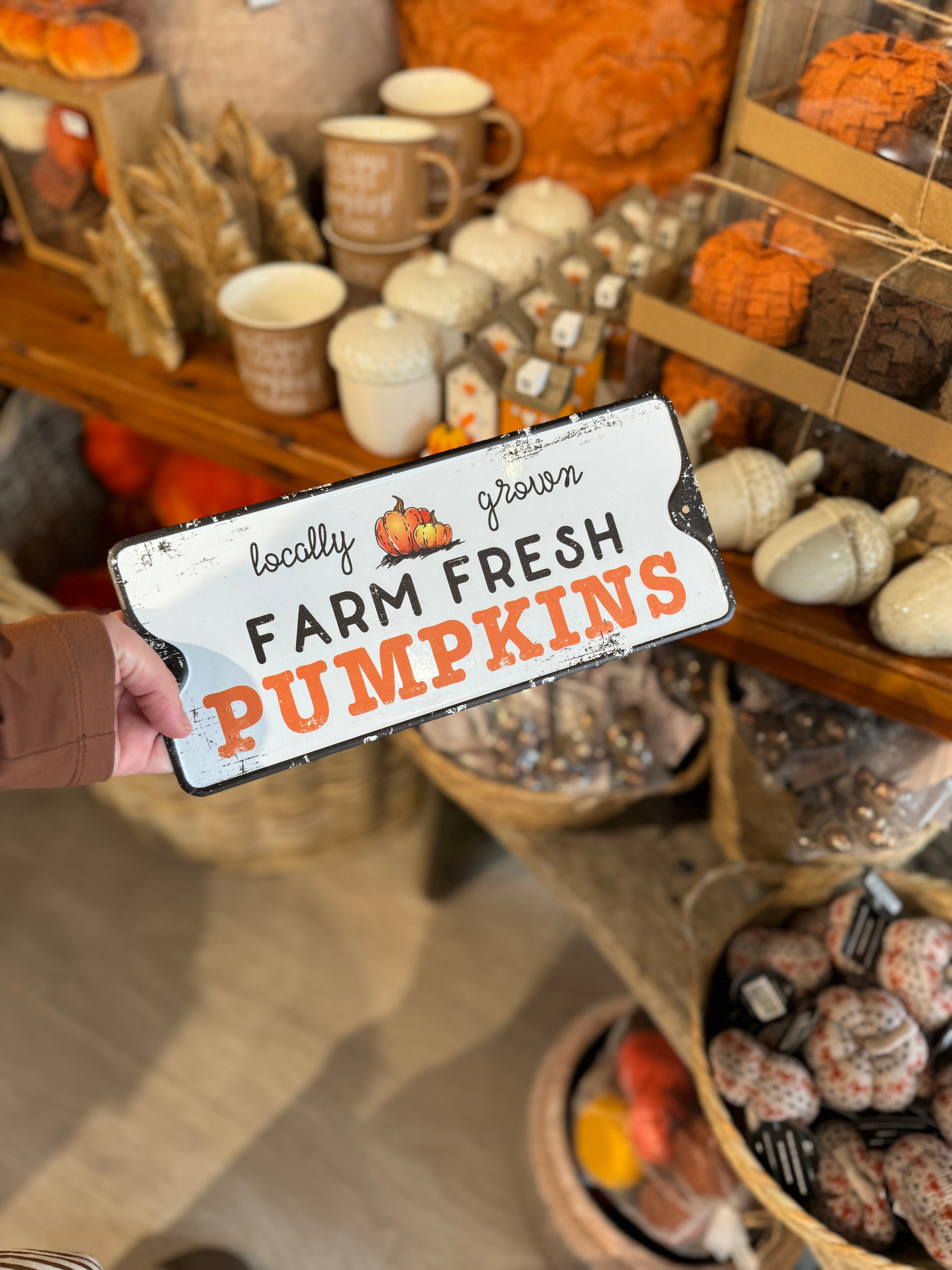 Farm Fresh Pumpkins Metal Sign