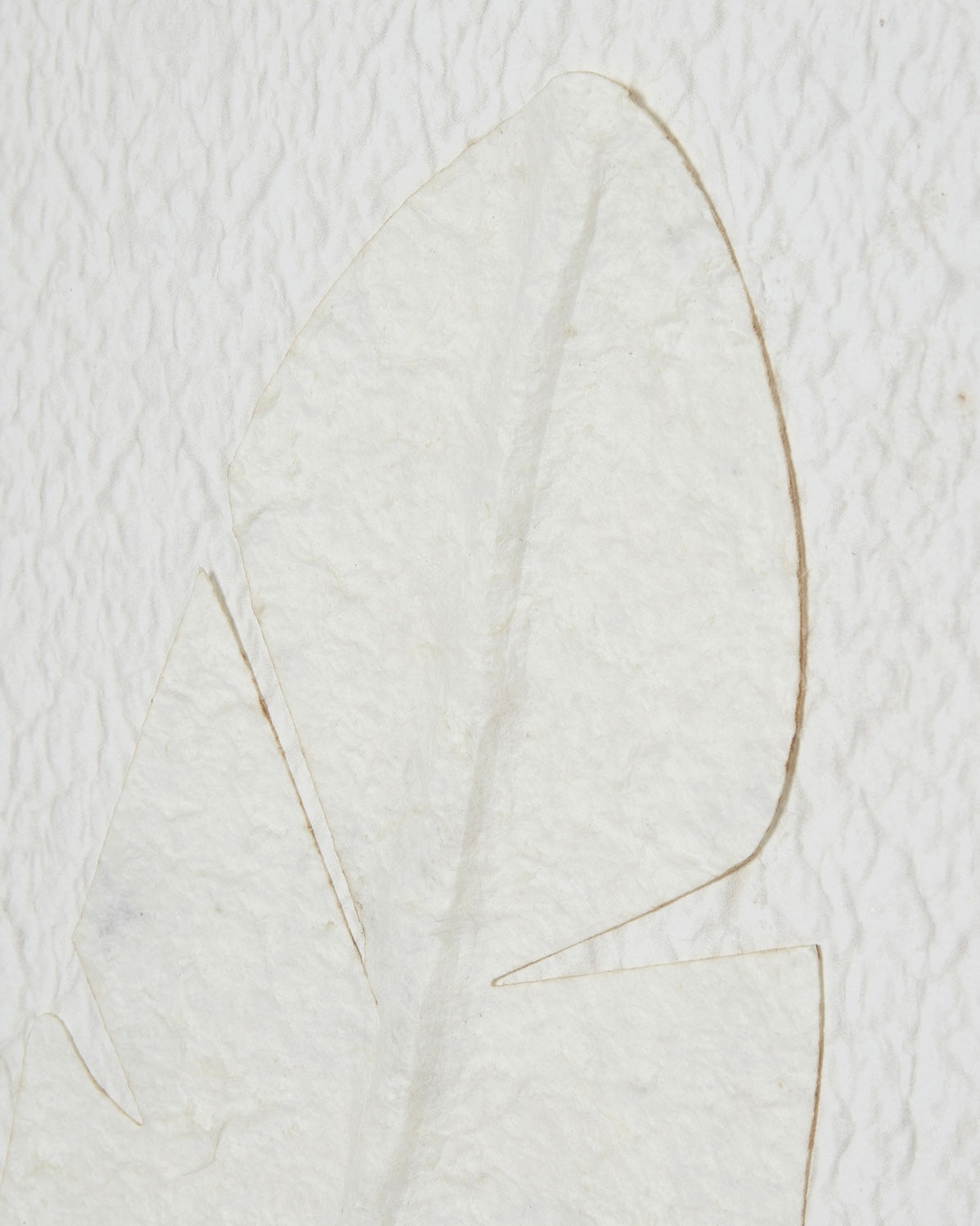 Large white feather print wall art by Hill Interiors in a frame, showcasing elegant feather design on a neutral background.
