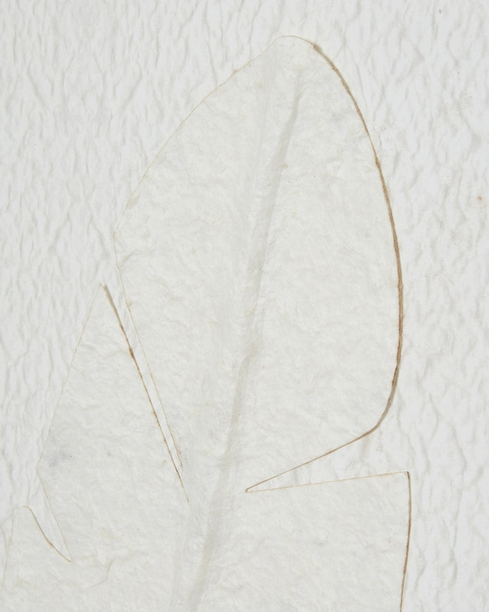 Large white feather print wall art by Hill Interiors in a frame, showcasing elegant feather design on a neutral background.