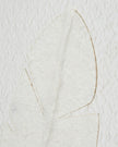 Large white feather print wall art by Hill Interiors in a frame, showcasing elegant feather design on a neutral background.