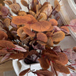 Artificial Autumnal Eucalyptus Stem