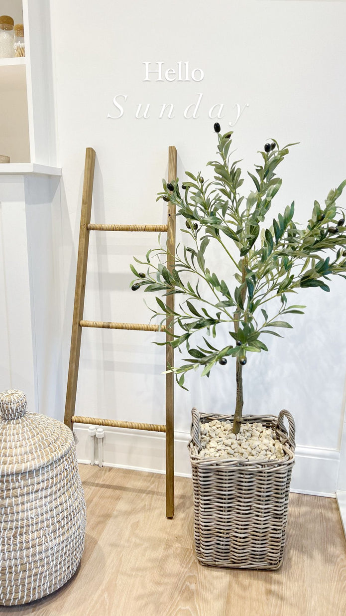Medium artificial faux olive tree by Hill Interiors, Calabria collection, showcasing realistic green olive leaves and slender trunk.