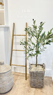 Medium artificial faux olive tree by Hill Interiors, Calabria collection, showcasing realistic green olive leaves and slender trunk.