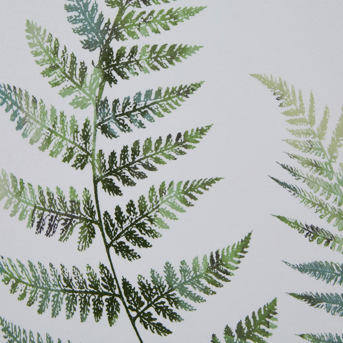 Wooden framed wall art print featuring vibrant green ferns, perfect for adding natural decor to any space.