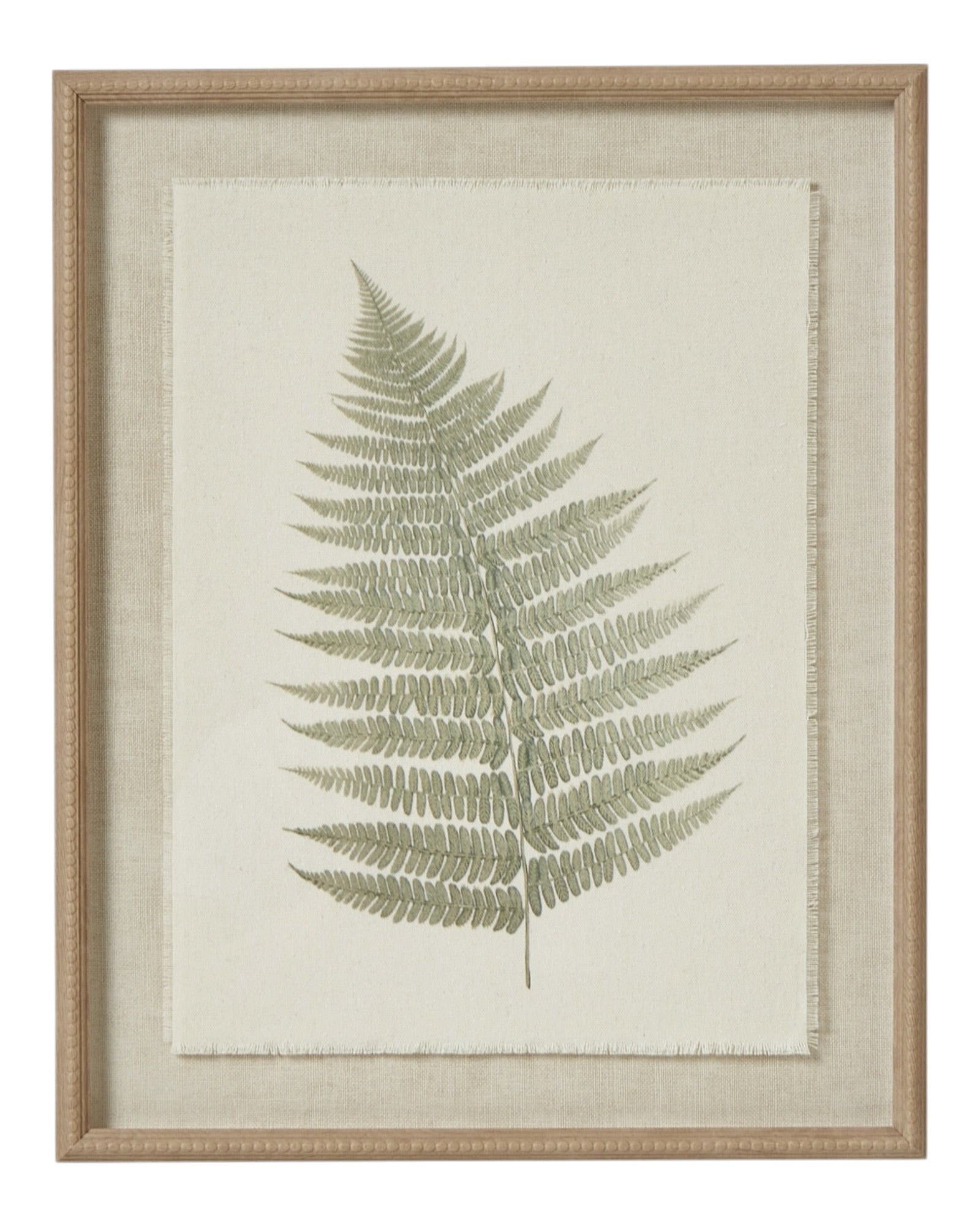 Wooden framed vintage wall art print featuring green ferns, decorative botanical wall decor by Hill Interiors.