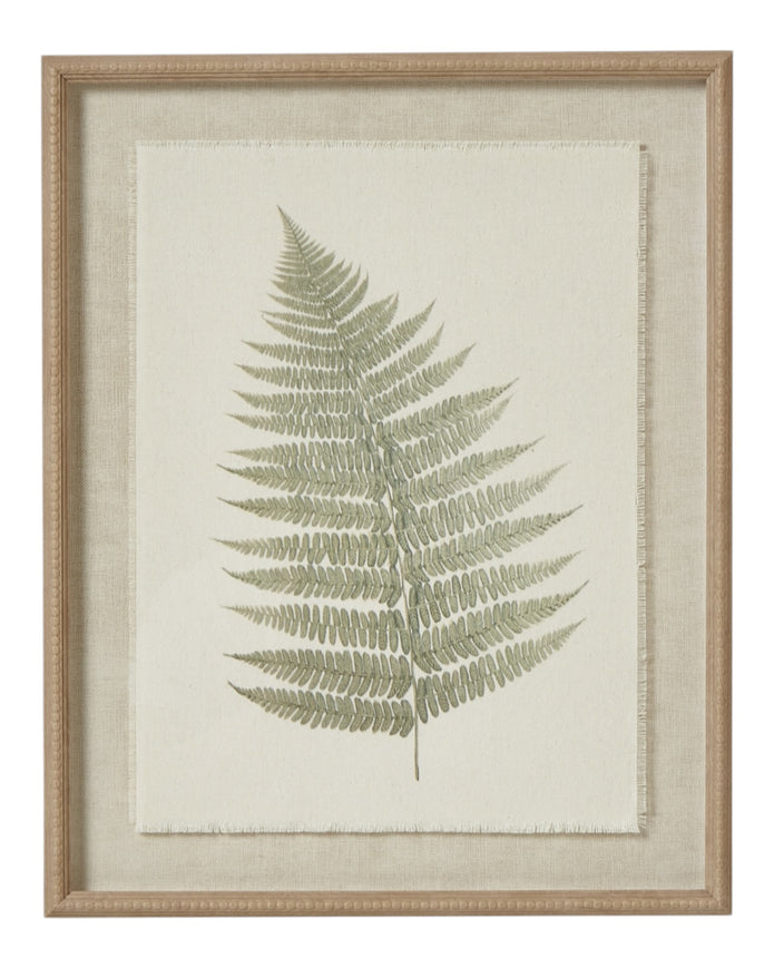 Wooden framed vintage wall art print featuring green ferns, decorative botanical wall decor by Hill Interiors.