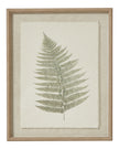 Wooden framed vintage wall art print featuring green ferns, decorative botanical wall decor by Hill Interiors.