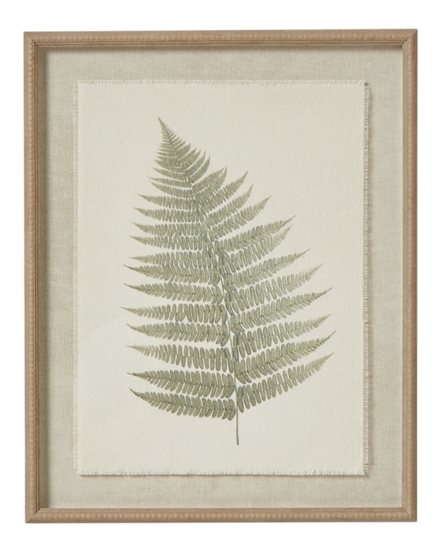 Wooden framed vintage wall art print featuring green ferns, decorative botanical wall decor by Hill Interiors.