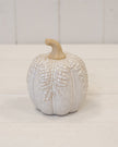 Medium Natural Glazed Taller Pumpkin With Oversized Leaves