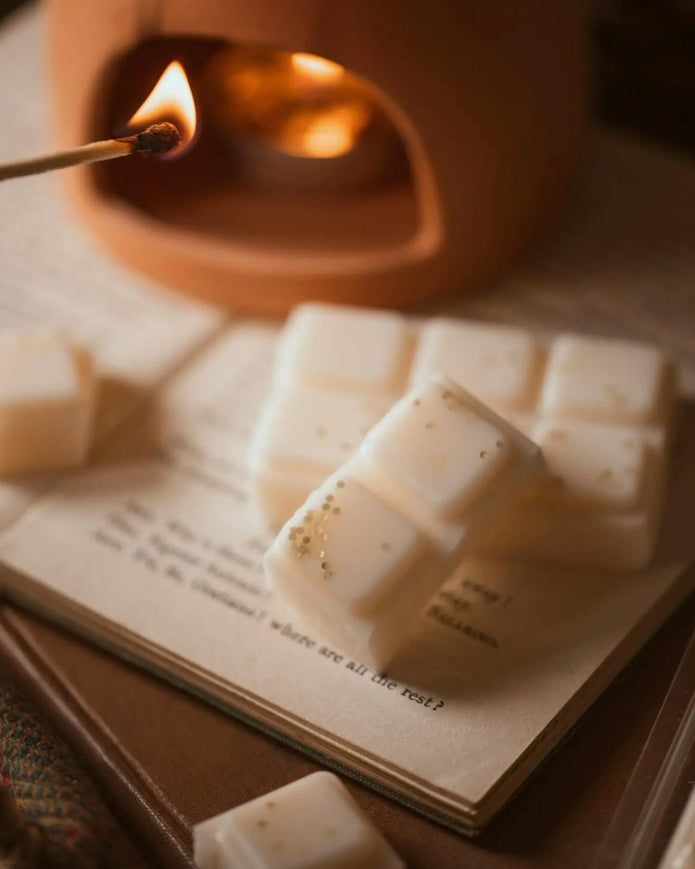 Beach Days Scented Snap Bar Wax Melt