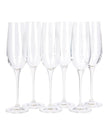 Champagne Flute Glass - Kitchen & DiningKitchen & Dining - Lulu Loves Home