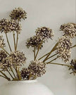 Decorative dried flowers in a white vase against a light background
