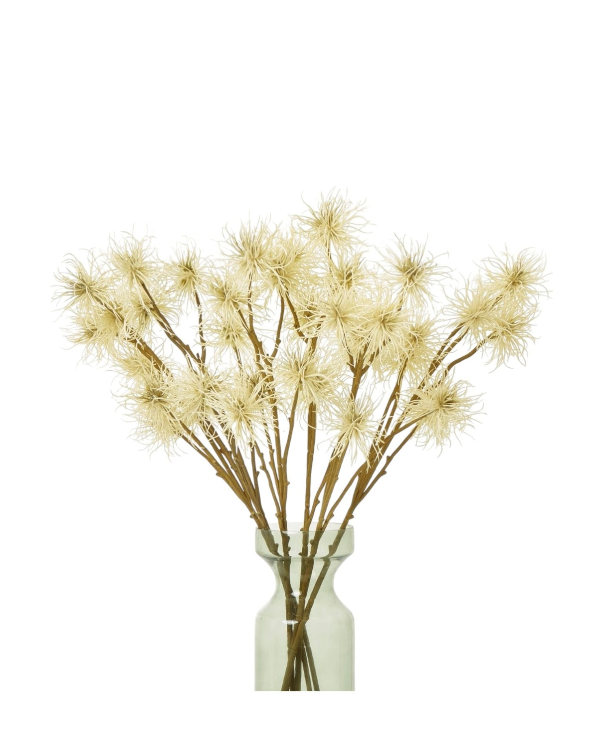 Classic Cream Xanthium Stem