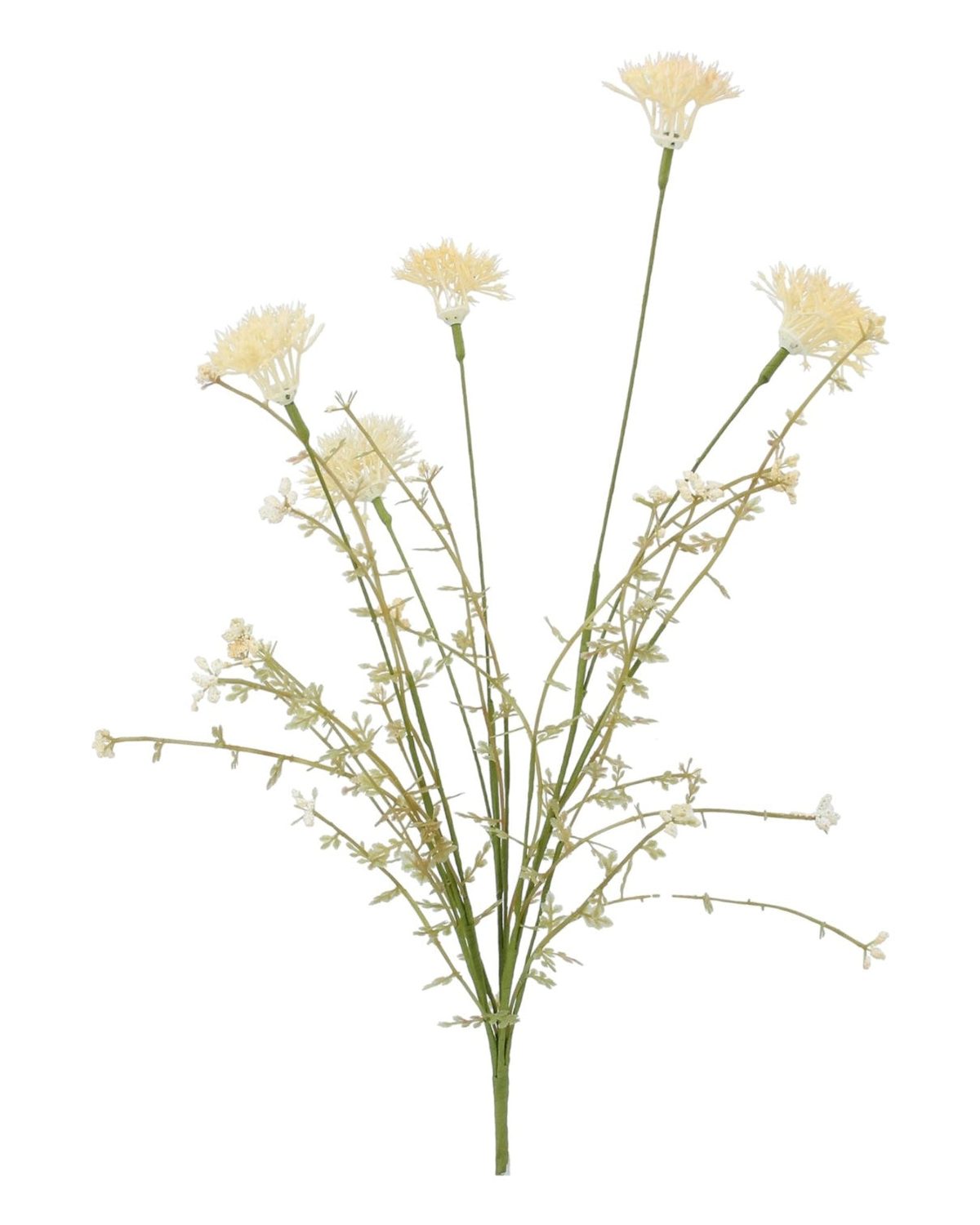 Cream Wild Thistle Stem