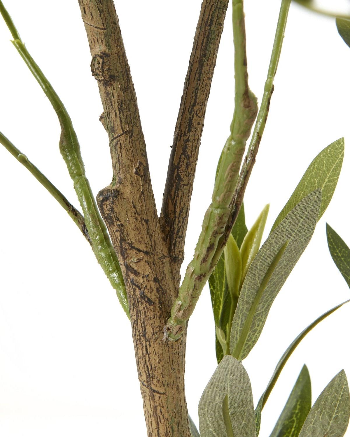 Large artificial faux olive tree from Hill Interiors, showcasing lush green leaves and realistic trunk for indoor decor.