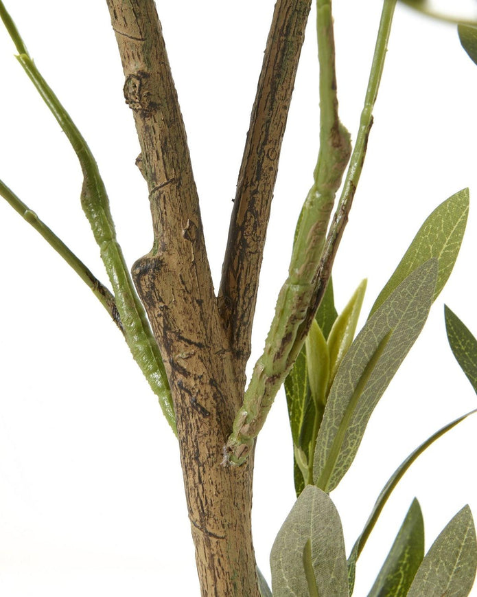 Large artificial faux olive tree from Hill Interiors, showcasing lush green leaves and realistic trunk for indoor decor.