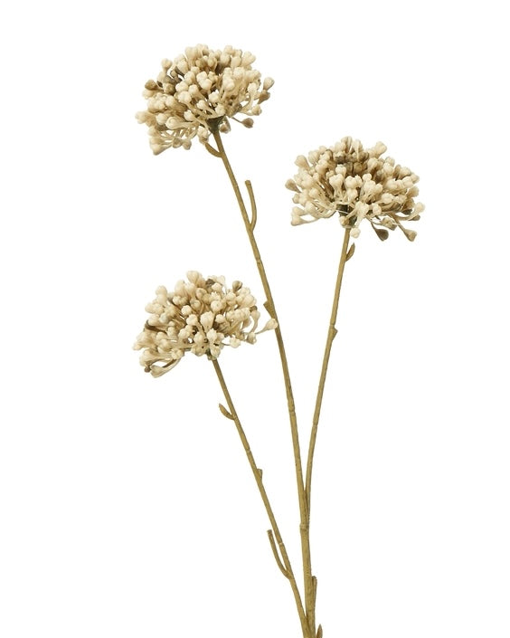 Artificial classic brown Allium stem by Hill Interiors, showcasing realistic faux flowers with multiple blooms on a slender stem.