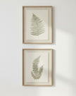 Wooden framed vintage wall art print featuring green ferns, showcasing botanical illustrations by Hill Interiors.