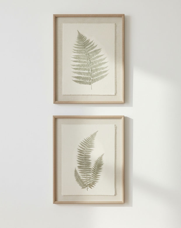 Wooden framed vintage wall art print featuring green ferns, showcasing botanical illustrations by Hill Interiors.