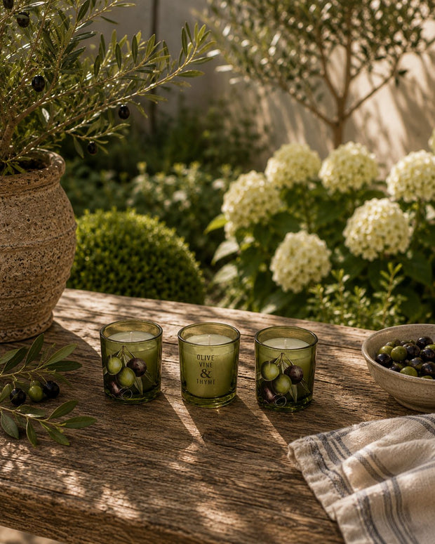 Set of 3 Votive Candles - Olive Vine & Thyme