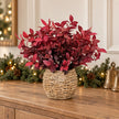 Burgundy Foliage Plant In a Seagrass Planter