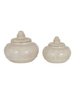 Tarn Neutral Glazed Lidded Pot vase by Hill Interiors with a glossy, neutral-toned finish and a matching lid.