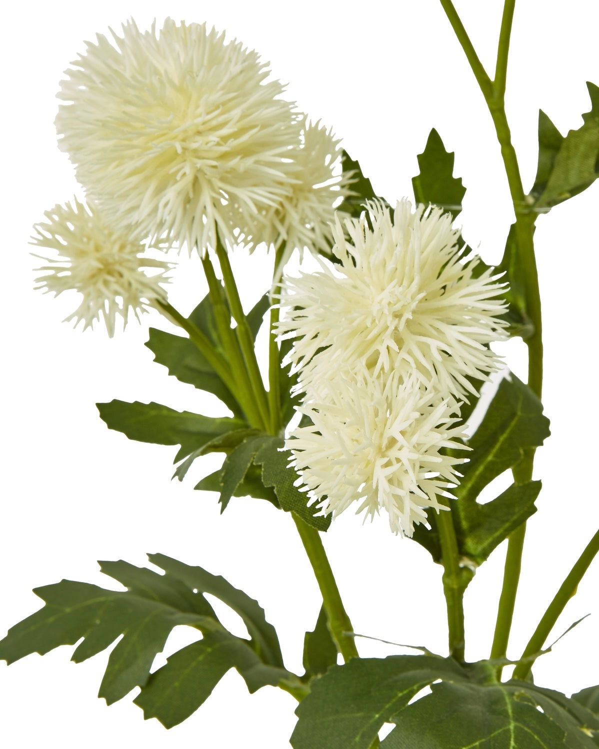 Artificial Cream Globe Thistle Spray from Hill Interiors, realistic faux plant with cream-colored globe-shaped flower clusters.