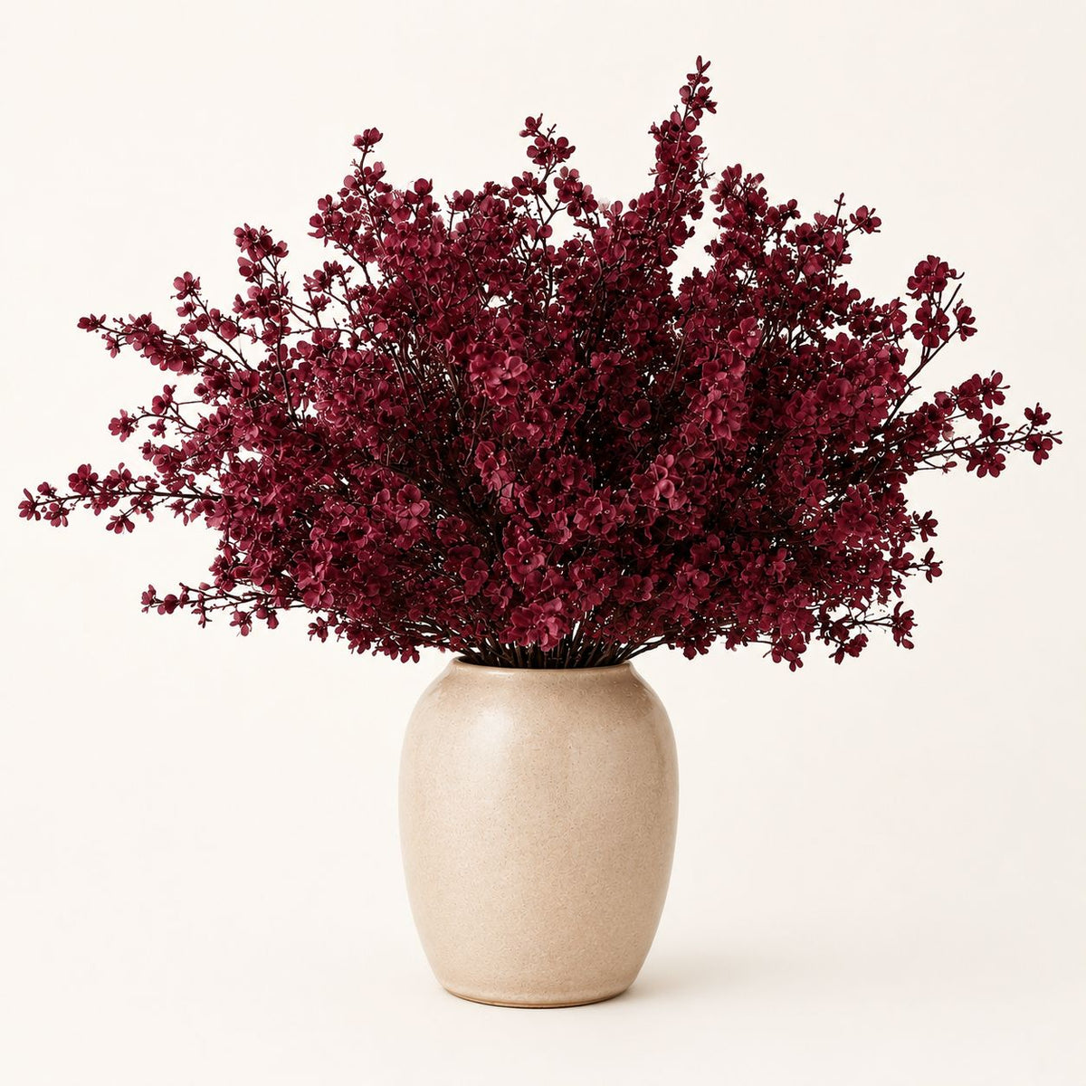 Full arrangement of burgundy gypsophila stems in a cream vase against a pale background.