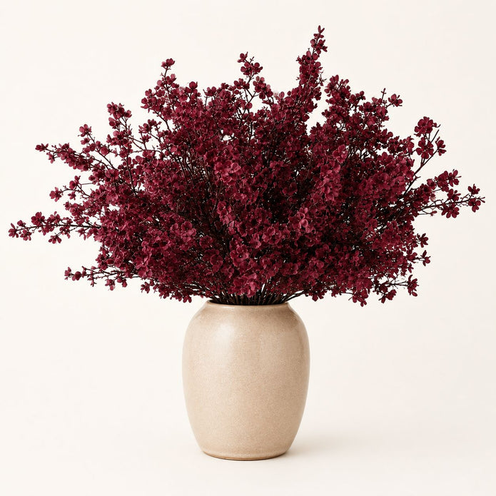 Full arrangement of burgundy gypsophila stems in a cream vase against a pale background.