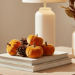 Velvet Pumpkins With Pine Cones Set