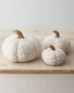 White Sherpa Pumpkin