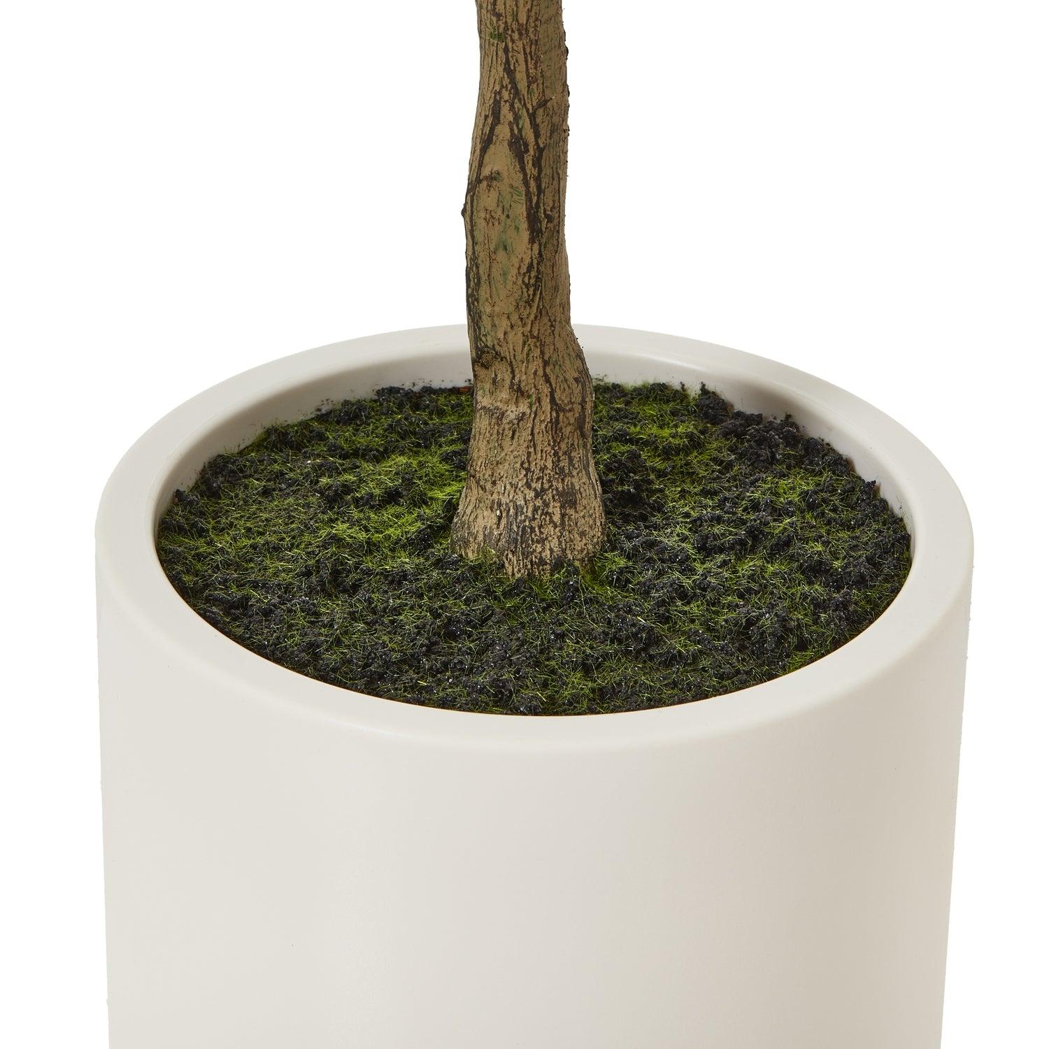 Small artificial faux olive tree by Hill Interiors, realistic green leaves on a slender trunk for decorative indoor or outdoor use.