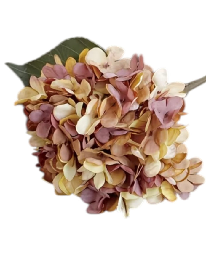 Artificial short dusky apricot hydrangea stem from Starlight Express, showcasing vibrant blossoms and realistic foliage.
