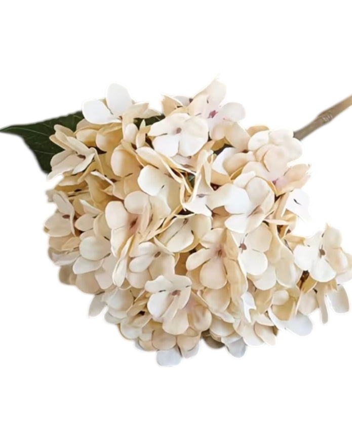 Artificial short soft cream hydrangea stem from Starlight Express, showcasing lush blooms and realistic greenery for home decor.
