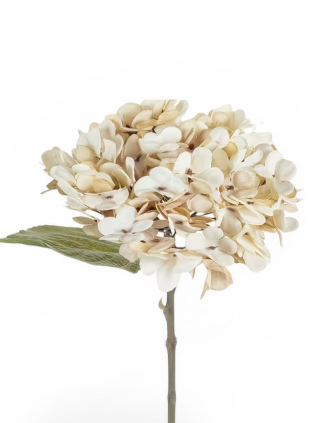 Artificial short soft cream hydrangea stem from Starlight Express, featuring delicate cream-colored blooms on a realistic plant stem.