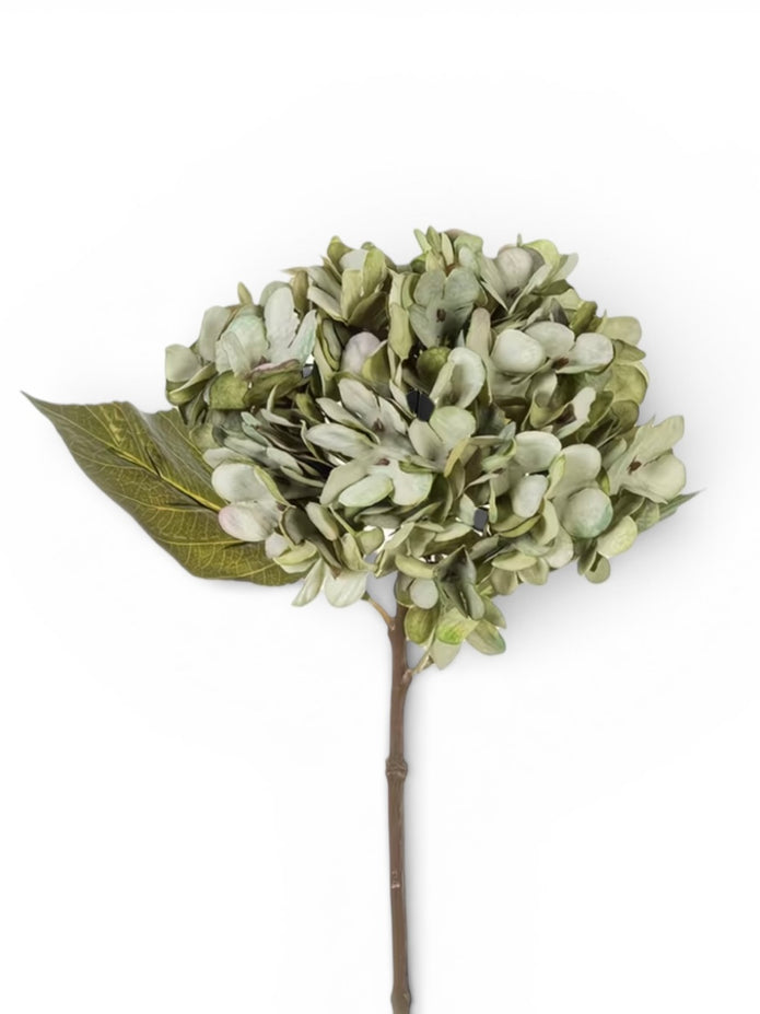 Artificial short sage green hydrangea stem from Starlight Express, featuring realistic green hydrangea blossoms and foliage.